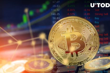 Bitcoin (BTC) Price Builds Basis for Move to $34K: Glassnode Co-founder