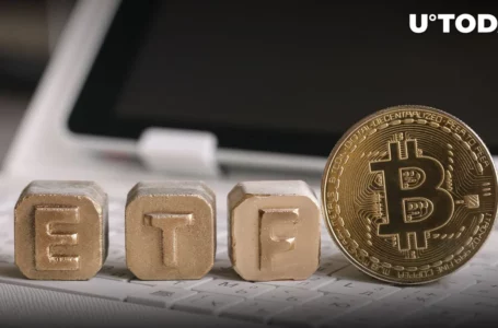 Bitcoin ETF Bullish Effect on Bitcoin (BTC) Price Has One More Signal, Analyst Says
