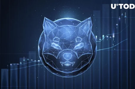 Shiba Inu (SHIB) Celebrates New Utility Boost as This Metric Soars