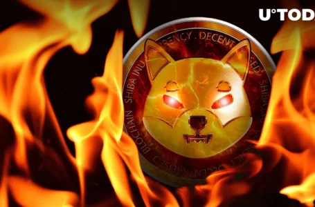 Shiba Inu (SHIB) Burn Rate up 3,808%, Here Are Prospects for Week