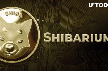 Shibarium Has No Official Date, Shiba Inu’s Marketing Expert Reminds Community
