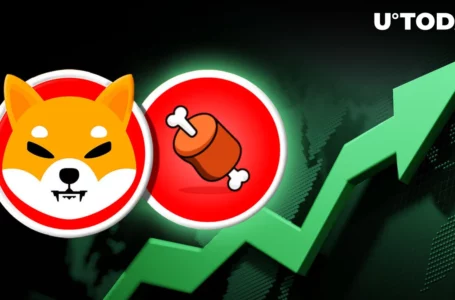 Shibarium’s BONE Token Attracts Massive 145% Spike in New Addresses