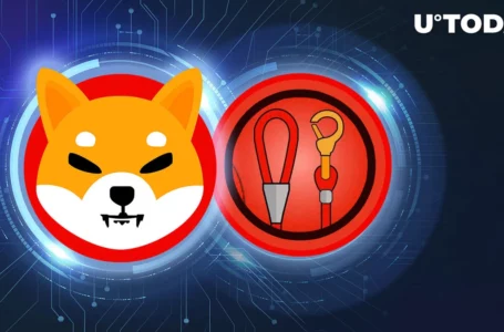 SHIB, LEASH Lead Pack in CMC Trends, Here’s Reason
