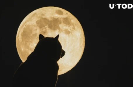 Whopping 1.362 Trillion Shiba Inu (SHIB) Whisked Away to Unknown Address