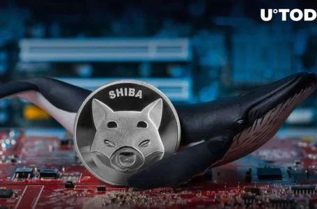 Shiba Inu (SHIB) Whales on Major Move as Transactions Jump 383%