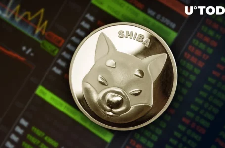 Whales Move 542 Million SHIB Ahead of Upcoming Shibarium Launch