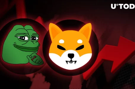 PEPE2, SHIB2 and Other ‘Sequels’ Drove Portfolios to Devastation