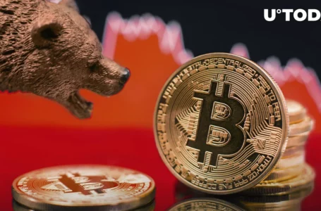 Bitcoin Bear Market Over, Here Are Signs: Source