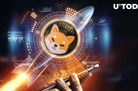 Shiba Inu Eyes Explosive Surge by $500 Million in Market Cap: What’s Next for SHIB?