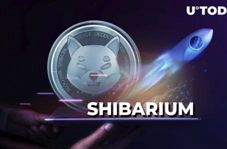Shibarium Utility Soars to New All-Time High in Just Two Days: Puppyscan