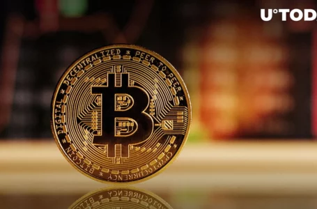 Will Bitcoin (BTC) Crash to $12,000? Here’s Interesting Answer by Crypto Analyst