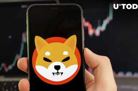 Shiba Inu Sees Massive Holder Inflow, Smashes Other Milestones Too