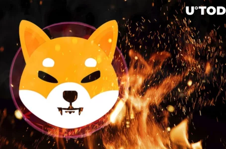 SHIB Burns Jump 2,057% as Shiba Inu Price Surges Impacted by This Crucial Driver