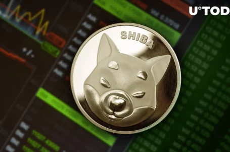4.7 Billion SHIB Transferred From Top Exchanges as SHIB Price Keeps Boosting