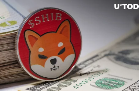 Shiba Inu (SHIB) Billionaire Owners Quietly Growing Holdings, This Might Be Reason