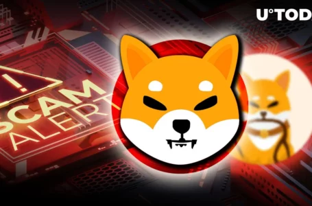 Scam Alert: SHIB Team Did Not Create UNLEASH Token – SHIB Army Beware