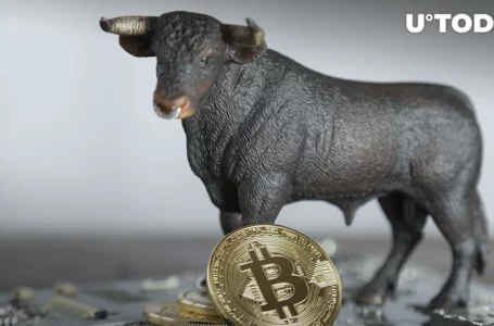 Bitcoin Funding Rates Looking Bullish, Here’s What It Means