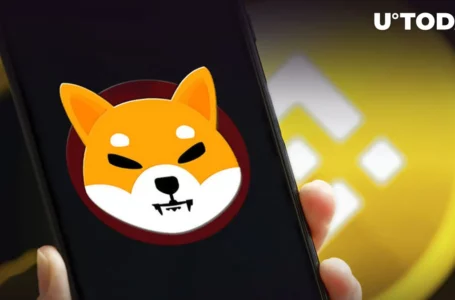 Tens of Billions of SHIB Sent to and From Binance as Shiba Inu Price Drops Overnight