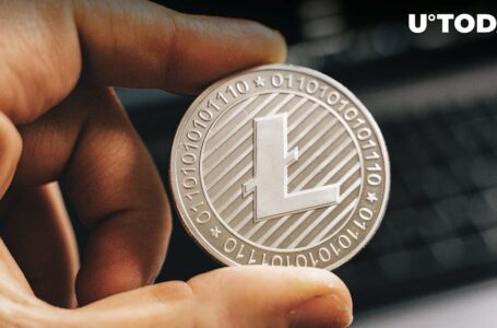 Litecoin (LTC) Price History Reveals Ugly Truth About Halving