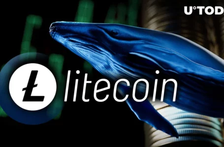 Massive Litecoin (LTC) Buy-up by Whales Ongoing, Halving Sentiment at Play?