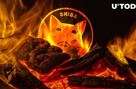 Dormant SHIB Wallet Awakens to Help Burn 113 Million Shiba Inu: Details