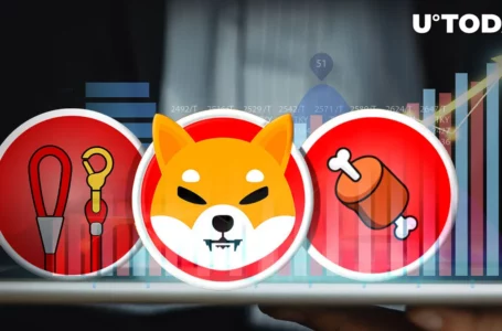 Shiba Inu Tokens BONE, LEASH Suddenly Jump Higher, Here’s Why