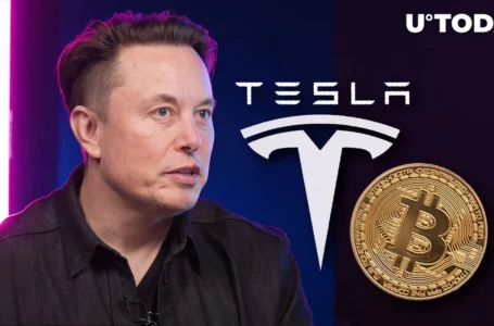 Elon Musk’s Tesla Sold Bitcoin One Year Ago, Community Wonders If Repurchase Coming