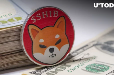 $2.5 Million in SHIB Unloaded by Major Holder, But Shiba Inu Price Acts Paradoxically