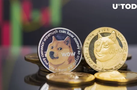 Dogecoin (DOGE) Forms Rare Pattern That Might Push Price 20,000%: Analyst
