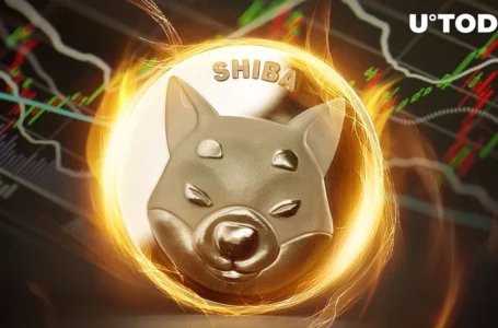 Here’s Reason Why Massive SHIB Burns Failed to Impact Shiba Inu Price