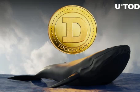 DOGE Whales Add Billions to Their Bags Quick – Here’s What They May Be Hoping For