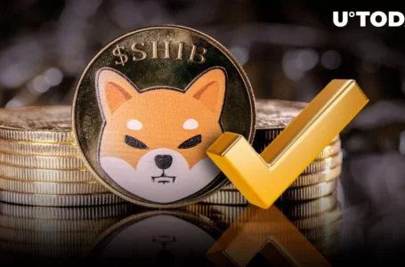 Shiba Inu Account Sports New Gold Check Mark