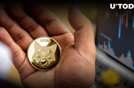 SHIB’s Market Cap Soars, Coin Regains 16th Place, Here’s What’s Pushing It