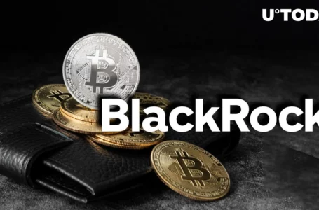 BlackRock Names Optimal Bitcoin Share in Investor’s Risk Portfolio – You’ll Be Surprised