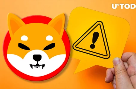 Shiba Inu: Fake ShibaSwap Exposed, SHIB Community Alerted