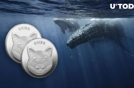 Billions of Shiba Inu (SHIB) on Move by Whales as Transactions Jump 197%