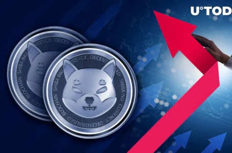 Shiba Inu (SHIB) Price May Have Reached Its Limit, Here’s Why