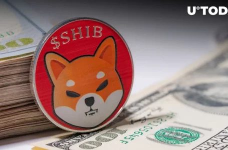 Shiba Inu (SHIB) Aims at $0.000008 Breakthrough, Here’s Why