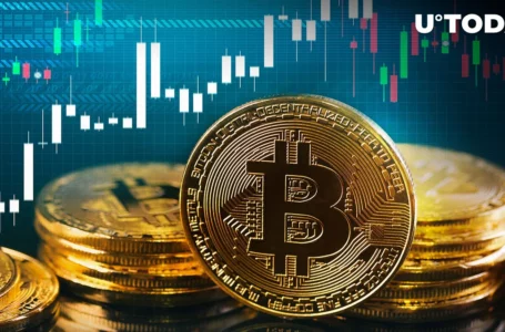 Bitcoin (BTC) Interesting Chart Pattern Targets $58,000: Details