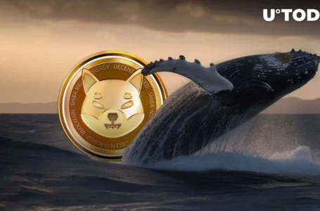 Close to 50 Billion SHIB Moved by Whales, Including Purchases, As Price Dips