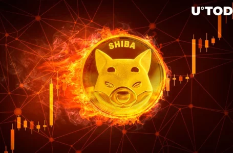 SHIB Burns Jump As Shiba Inu Surpasses XLM, BCH and AVAX: Details