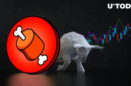 Shiba Inu’s BONE Retains Bullish Momentum, Is Dump Close By?