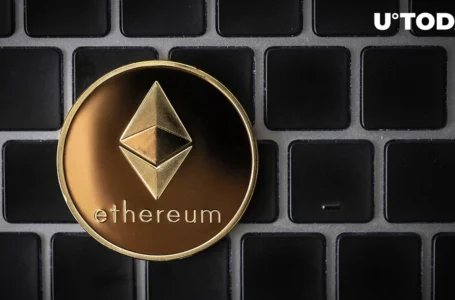 How Many Ethereum (ETH) Addresses Show Real Activity? You Would Be Surprised