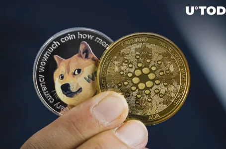Dogecoin Gains Ground on Cardano as Bitcoin Falls to Sub-$29K Levels