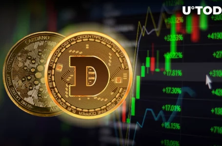 Dogecoin Now Ahead of Cardano After X-Fueled Boost