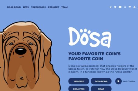 Dosa ($DOSA) Review: A DeFi Wallet-Integrated Tool