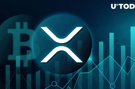 XRP’s Rise Challenges Bitcoin’s Dominance: Top Analyst