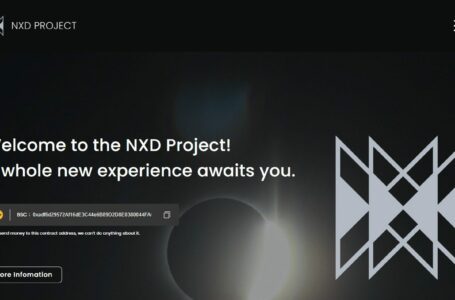 NXD Next (NXDT) Review: Everything You Need To Know