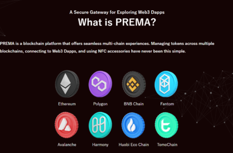 PREMA (PRMX) Review: A Gateway To Blockchain Space