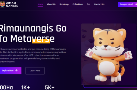 RIMAUNANGIS (RXT) Review: All You Need To Know